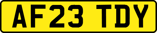 AF23TDY