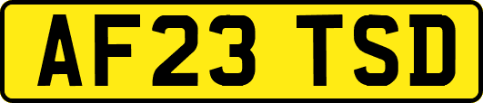 AF23TSD