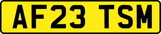 AF23TSM