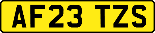 AF23TZS