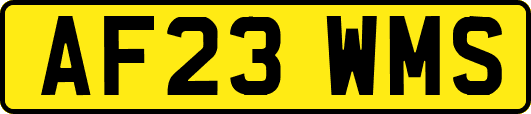 AF23WMS