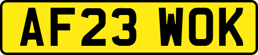 AF23WOK