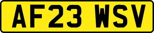 AF23WSV