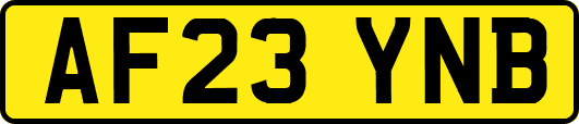 AF23YNB