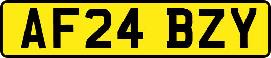 AF24BZY