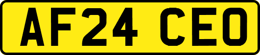 AF24CEO