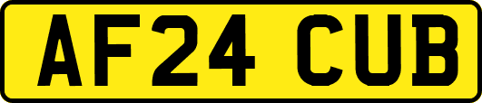 AF24CUB