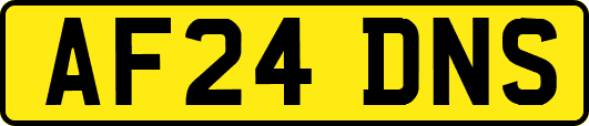 AF24DNS