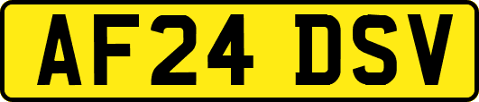 AF24DSV