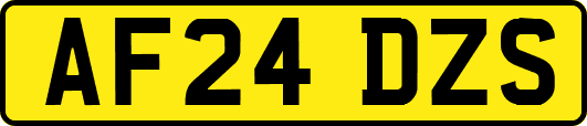 AF24DZS