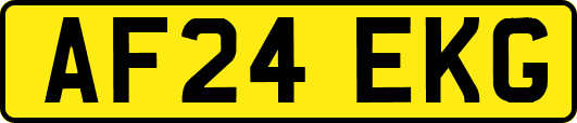 AF24EKG