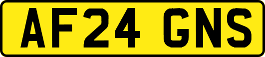 AF24GNS