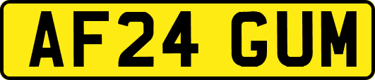 AF24GUM