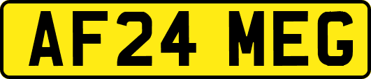 AF24MEG