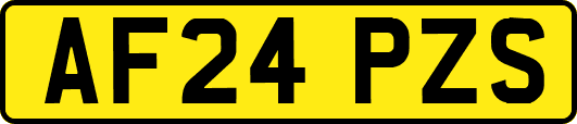 AF24PZS