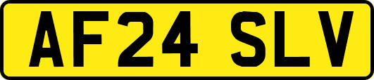 AF24SLV