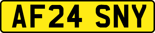 AF24SNY