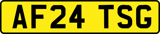 AF24TSG