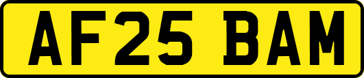 AF25BAM