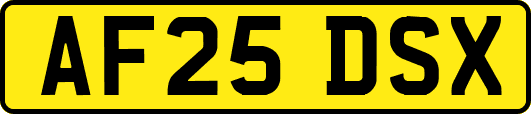 AF25DSX