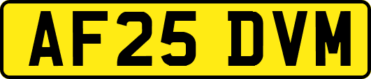 AF25DVM