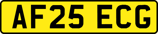 AF25ECG