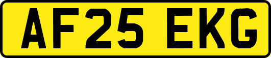 AF25EKG