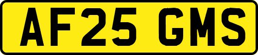AF25GMS