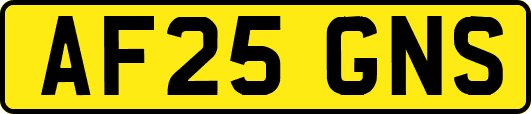 AF25GNS