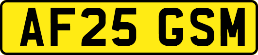 AF25GSM