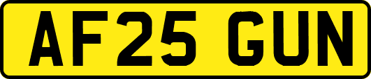 AF25GUN
