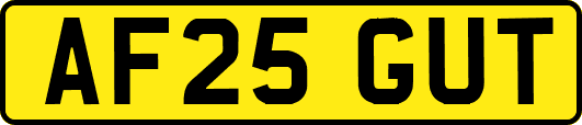 AF25GUT