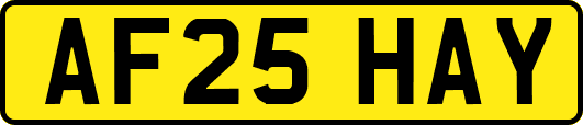 AF25HAY