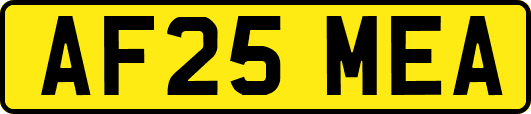 AF25MEA