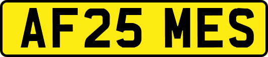 AF25MES