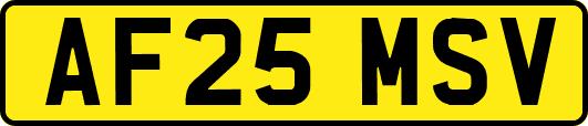 AF25MSV