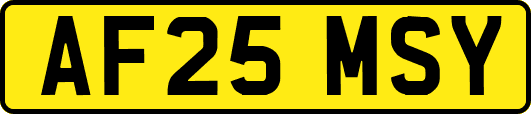 AF25MSY