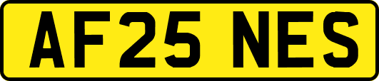 AF25NES