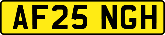 AF25NGH