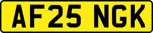 AF25NGK