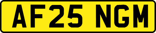 AF25NGM