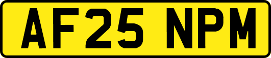 AF25NPM