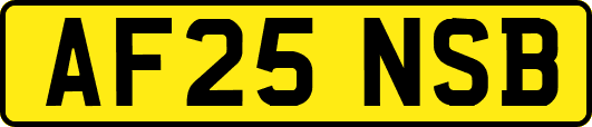 AF25NSB