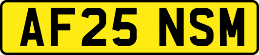 AF25NSM
