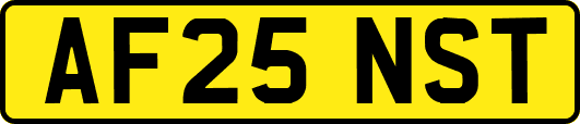 AF25NST