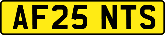 AF25NTS