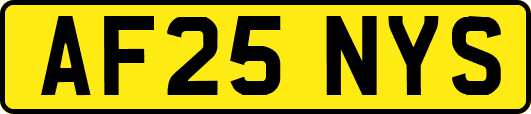 AF25NYS