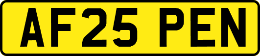 AF25PEN