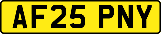 AF25PNY