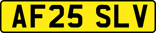 AF25SLV